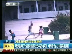 湖北学校学生爆料视频曝光 第2张 湖北学校学生爆料视频曝光 第2张
